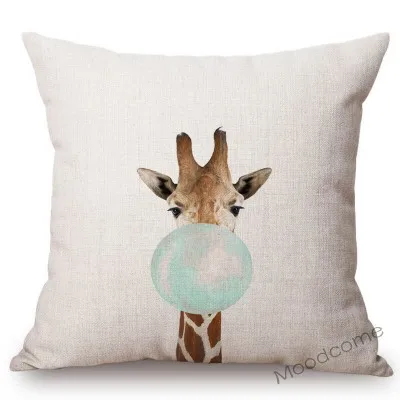 conew_n289 (12) 副本