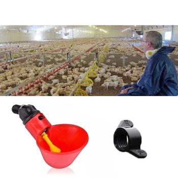 

Feed Automatic Bird Coop Poultry Chicken Drinker Water Drinking Cups 12pcs 2020 New Arrival For Home Decor Free Shipping x1#