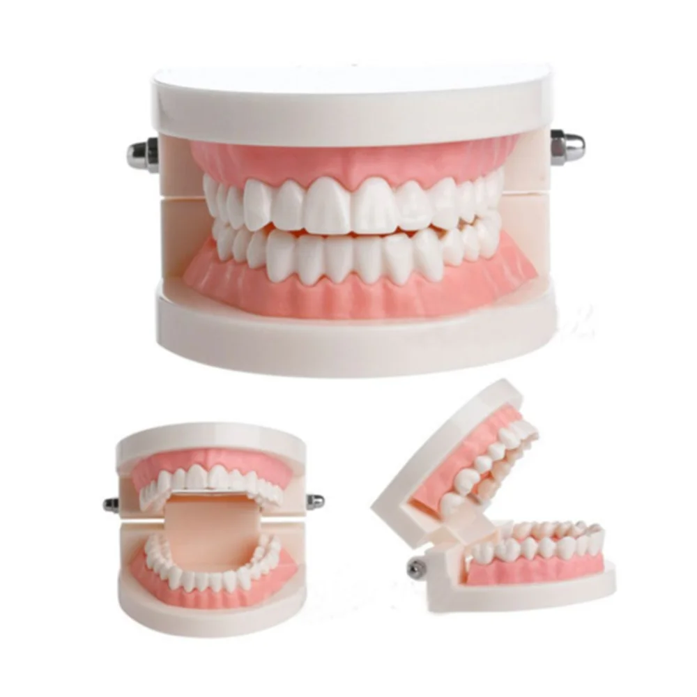 

Oral Care Dental Mold Brushing Teaching Model Dental Study Teaching Teeth Model Caries Tooth Care Education Dentist Equipment