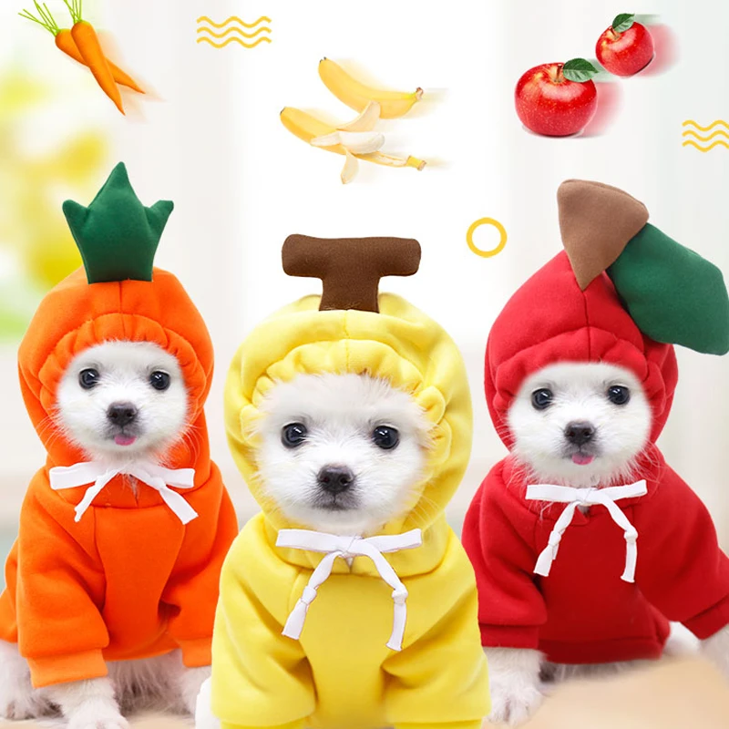 犬のフリースフード付きコート 漫画のキャラクターがプリントされたかわいいニットの服 チワワの犬に最適 新しい冬のコレクション Aliexpress ホーム ガーデン