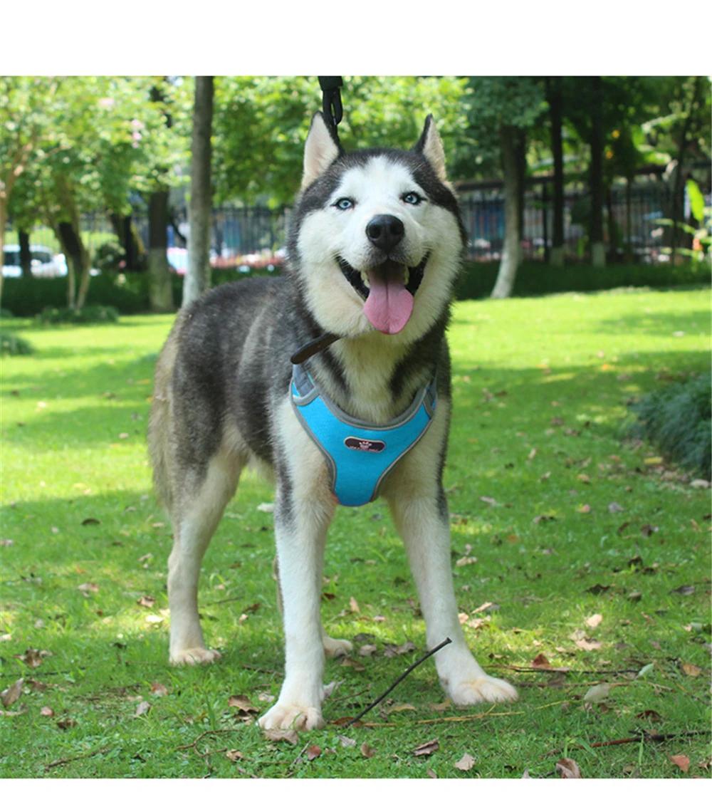 Dog Harness Vest Adjustable Reflective Breathable Mesh Harnesses For Medium Large Dog Breast-band Husky Alaskan Pet Accessories (16)