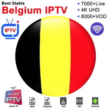 

Belgium IPTV Subscription M3U IPTV French Spain Germany Italy Android Box Mag M3U IP TV Smart PC Europe Server Sport Channel