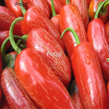 

Ngryise 8000Pcs A Set mexico pepper