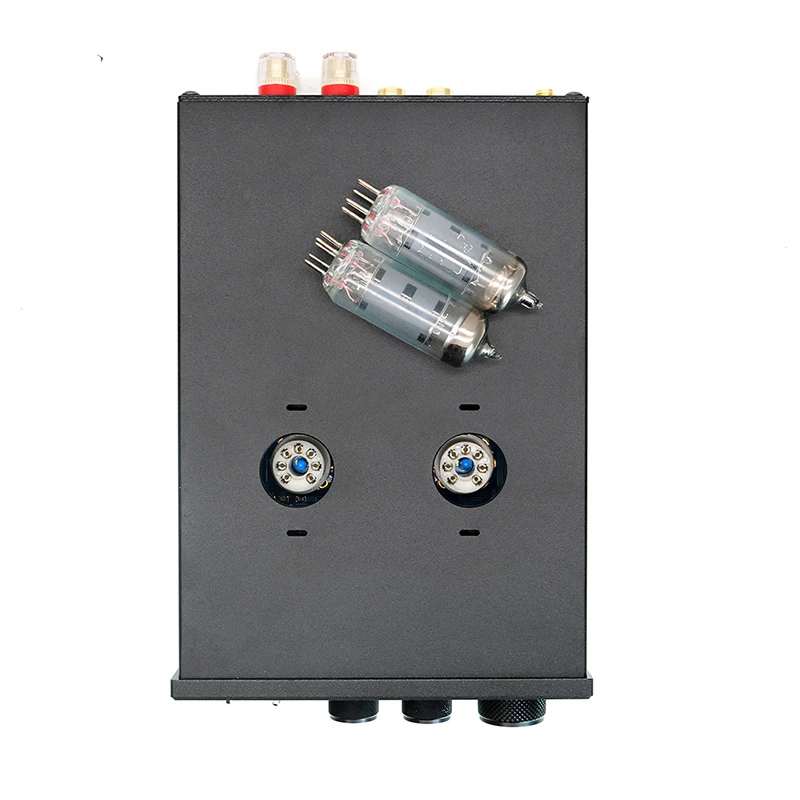 Dilvpoetry-R60 Digital power amplifier 2.0 tube