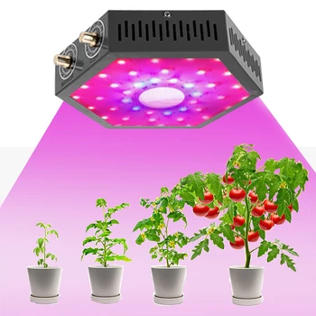 

Black 6-sided Plant Light 1000W Indoor Flower Nursery Lamp for Plants Full Spectrum EU Plug Phytolamp for Plants