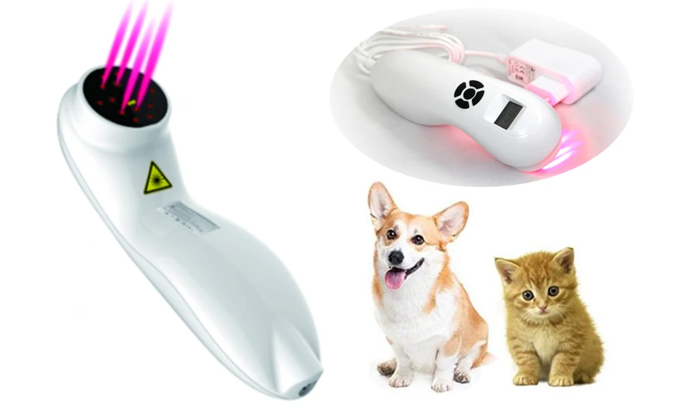 Dog and Horse Cat Animals Pain Relief LLLT Therapy Device by 808nm Safety Cold Laser Machine41