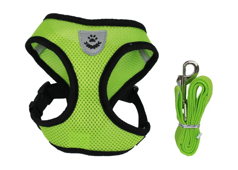 dog harness leash