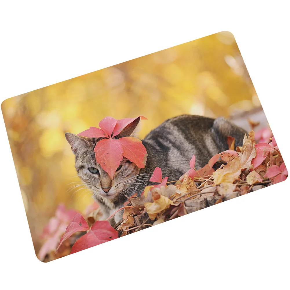 Cat Zeegle коврик для кухни, дверной коврик, коврик для туалета, коврик для собаки, коврик для ванной комнаты, противоскользящий водопоглощающий ковер, коврик для крыльца, коврик для ног - Цвет: Cat