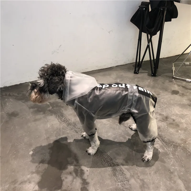 HTB1D7I_XNrvK1RjSszeq6yObFXaN