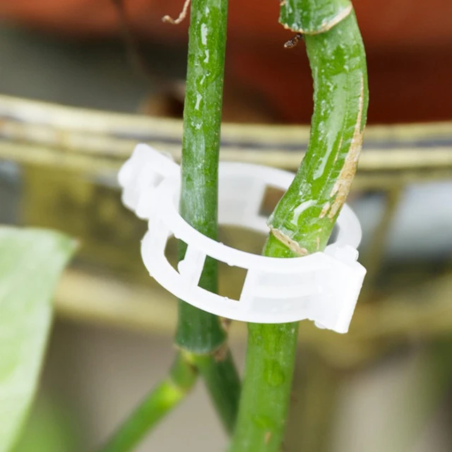 Üvegházhatású Növények Rögzítő Klipek Kerti Virágok Kötött Köteg Ág Klip Szorító Szerszámok Kellékek Növényi 50 Db - Image 2