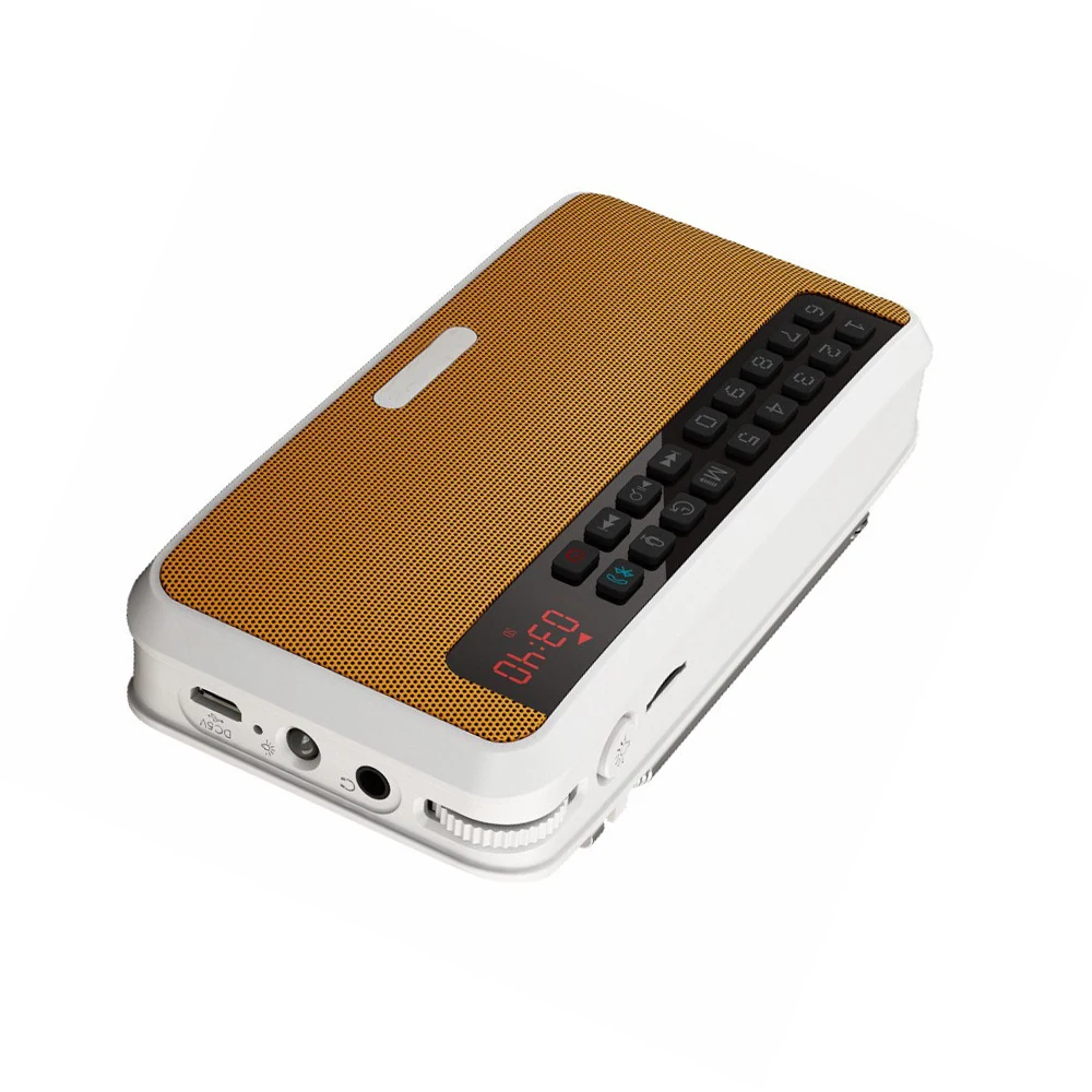 LED Rolton E500 FM Radio Wireless Bluetooth Speaker HiFi Recording