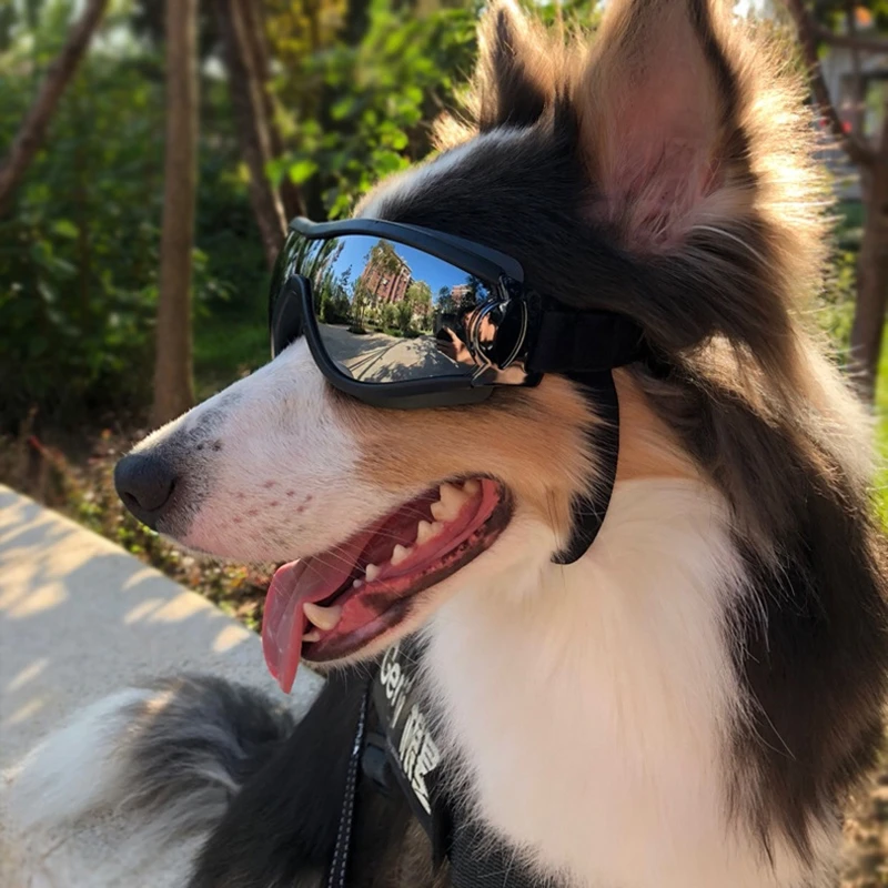 Gafas de sol la moda para lentes impermeables para nadar, protección UV, medianas y grandes mascotas, para exteriores|Accesorios para perros| AliExpress
