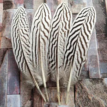 

Wholesale 100pcs Natural Silver Pheasant Feathers 15-20cm/6-8inches Wedding Dance Recital Party Halloween Home Decoration