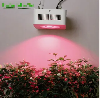 

High Power Full Spectrum Led Grow Light 200W with COB reflector for Hydroponic Grow Box Medical plants supplemental lighting