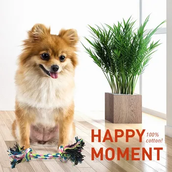 

Pet Dog Toy For Small Large Dog Ball Toothbrush Ropes Dog Chew Interactive Toy For Cleaning Teeth Pet Accessories
