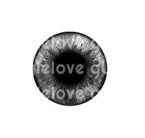 QQ截图20190617120834