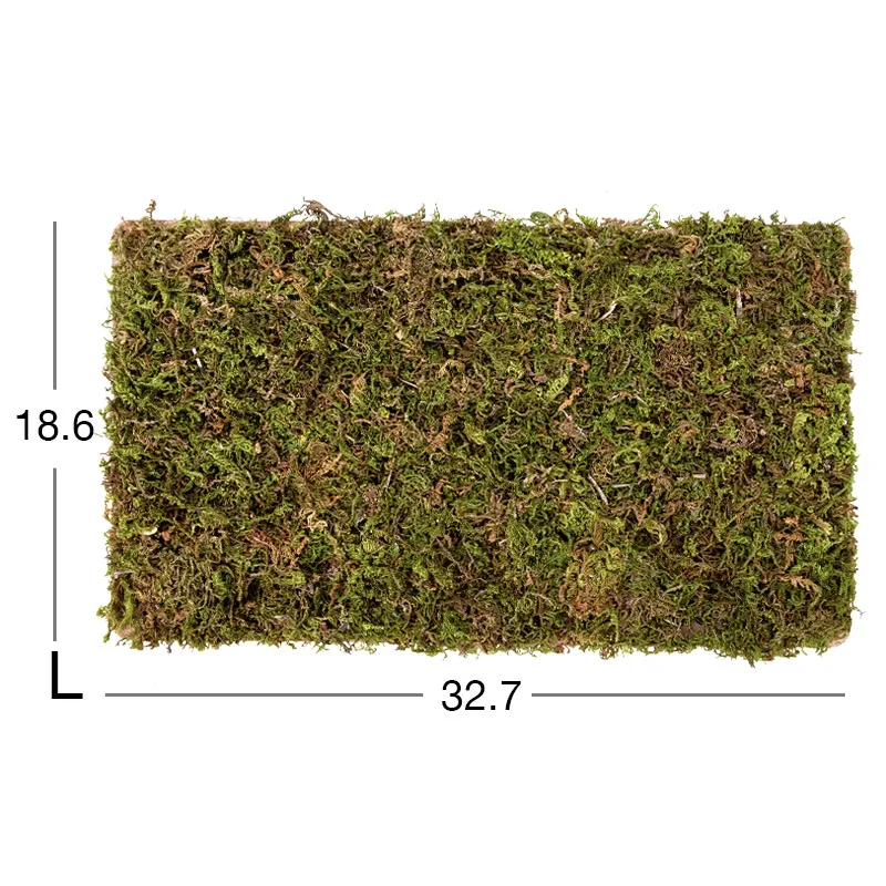 Moss mat-691