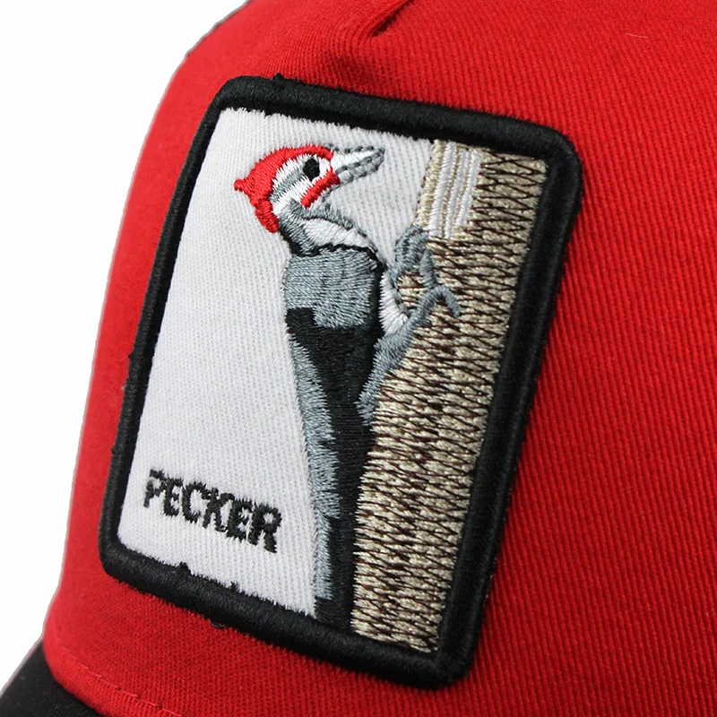 10614893272_1424423369