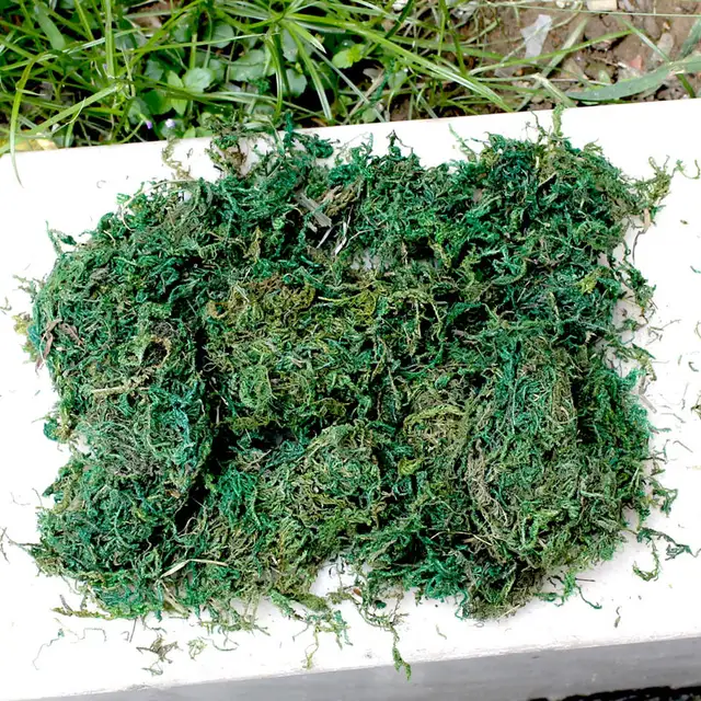 Flores Artificiales Planta De Musgo Diy Flor Pared Hogar Jardin