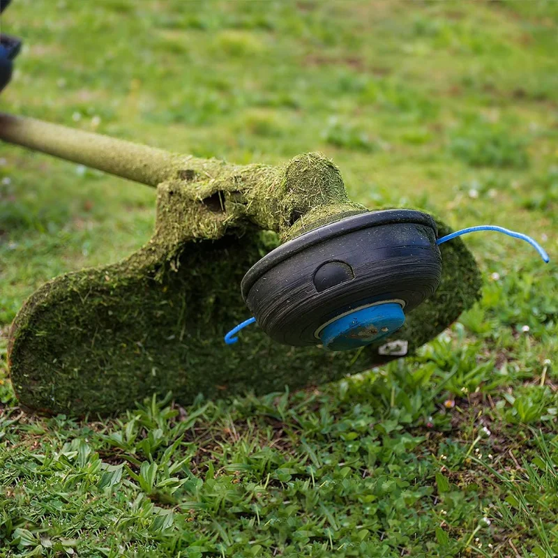 Filo Per Decespugliatore 1,6 Mm - 2 Rotoli Da 100 M (Totale 200 M) In Nylon, Per Giardino E Prato