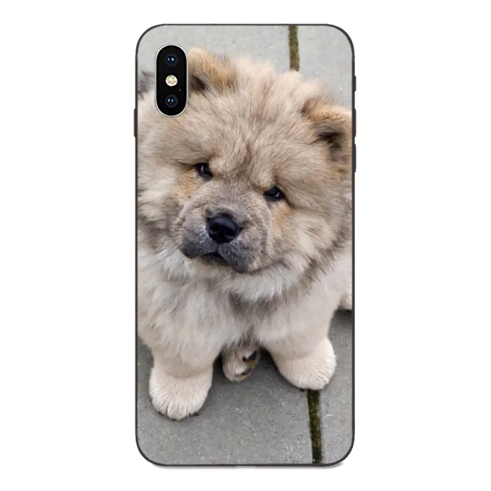 Мягкий чехол Chow Puppy для Apple iPhone 4 4S 5 5S SE 6 6S 7 8 Plus X XS Max XR|Чехлы-накладки| |