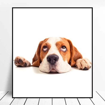 

Funny Disdainful Expression Puppy Picture Prints Print Home Wall Canvas Decoration Drawing Ornaments