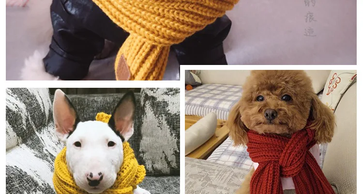 12590237663_547539500