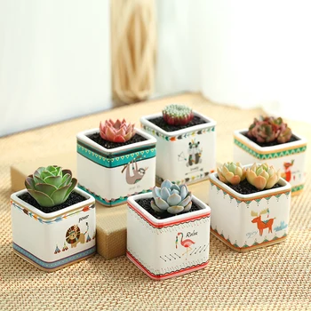 

Carnivorous Animal Flower Pot Creative Meat Pot Individual Meat Flower Pot White Porcelain Pot Meat Plant Flower Pot