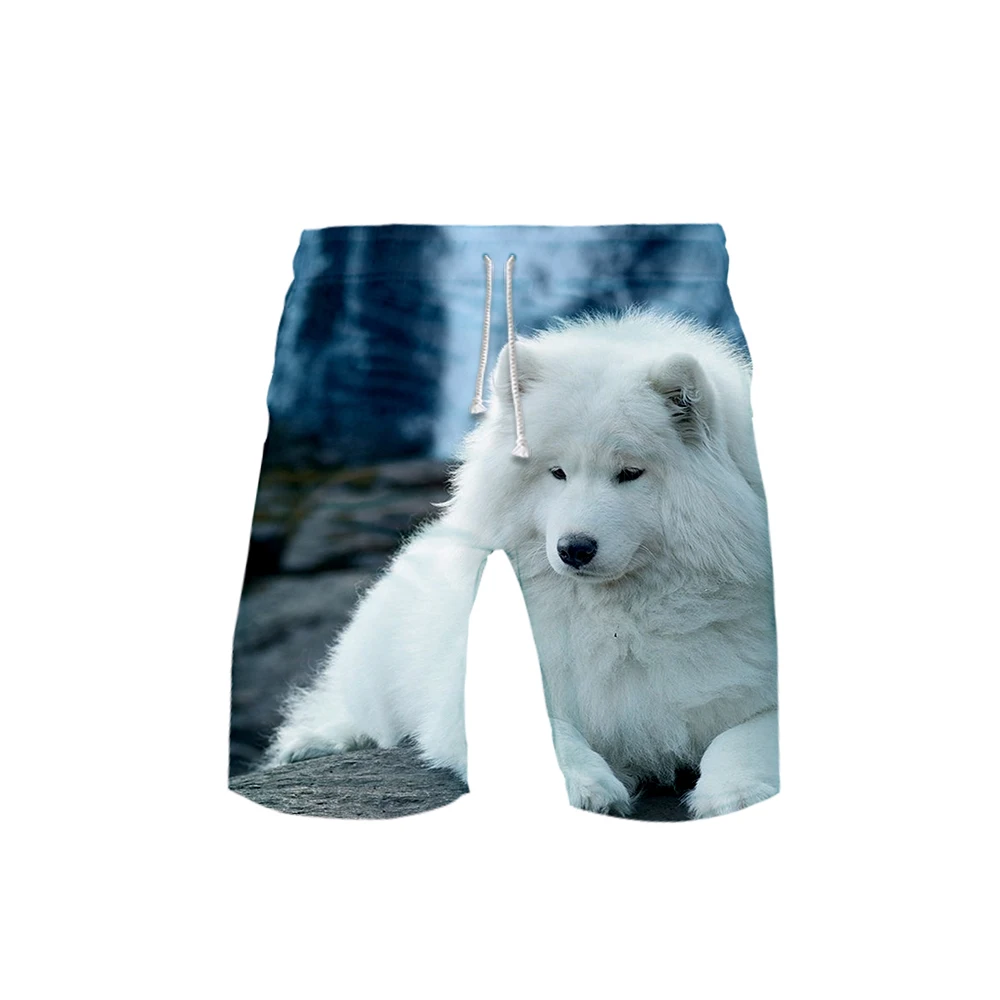Samoyed 3D шорты летние быстросохнущие пляжные мужские шорты хип хоп бермуды плавающие шорты мужские - Цвет: Серый