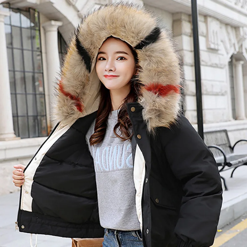 

WOMEN'S Dress Large Fur Collar Cotton-padded Clothes Women's Hooded Thick Thermal Wear 2019 New Style Autumn And Winter Loose-Fi