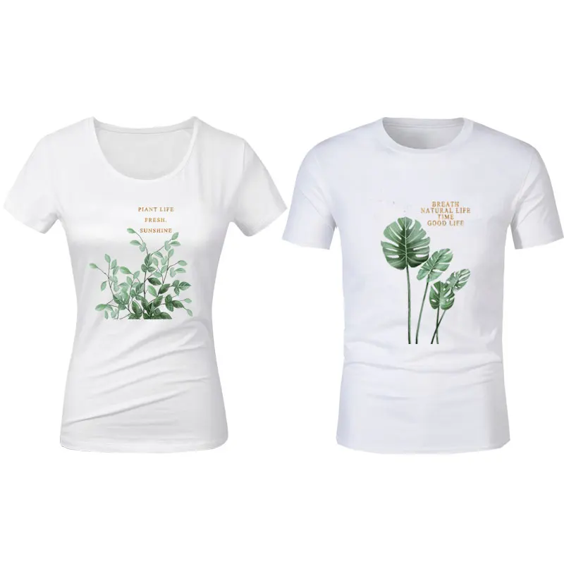 TA2594植物叶子_05