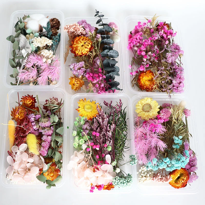 Paquete de Material de flores secas para manualidades