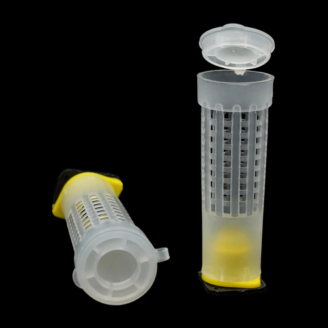 20/50 Pcs Méhész Eszközök Termékenységi Király Talapzatőr Hosszú Fall Pajzs Queen Ketrec Borítója Bejegyzett Levél Szerint - Image 5