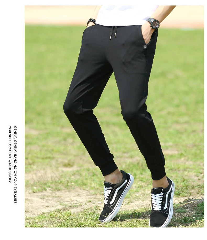 8732371381_396462508