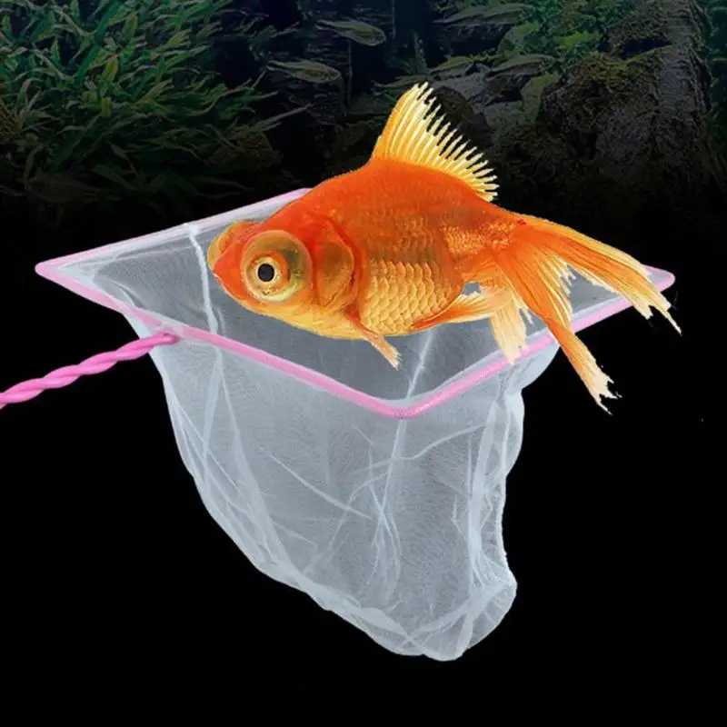 

Long Handle Practical Landing Net for Aquarium Fish Tank Fish Catching Accessories Fish Shrimp Catching Nets