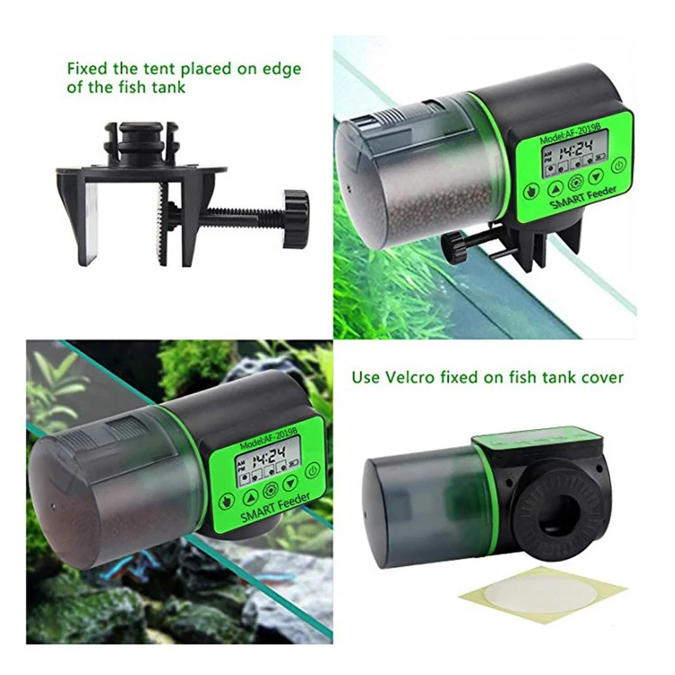 What Is A Fish Feeder at Julia Kroer blog