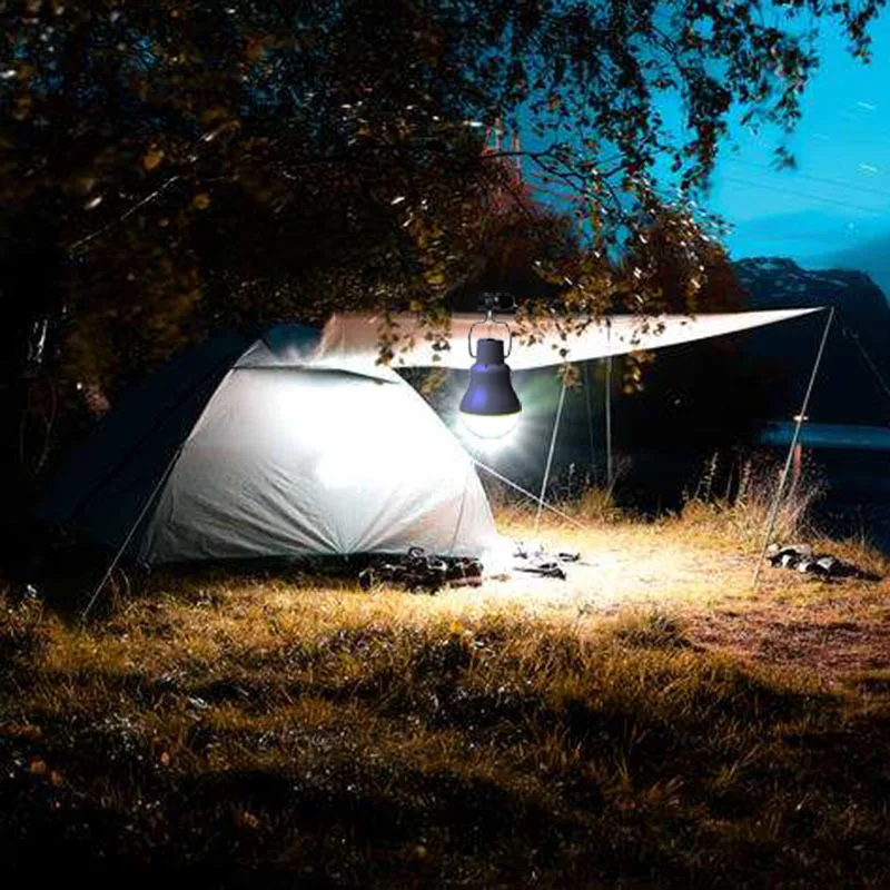 12813760506_1435393380