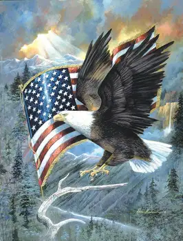 

JMINE Div 5D American Flag Eagle Full Diamond Painting cross stitch kits art High Quality Animal 3D paint by diamonds