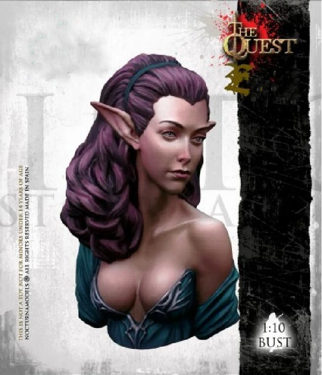 

1/10 Resin bust model kit