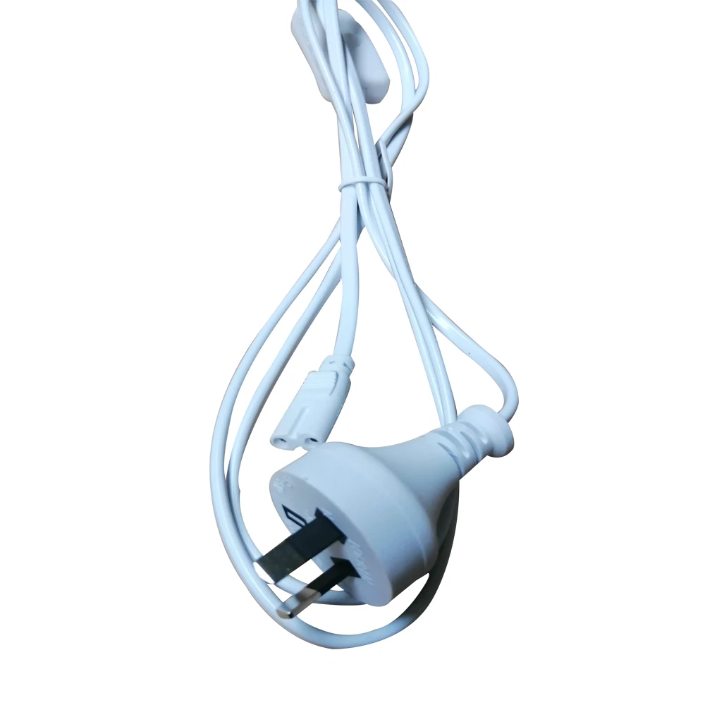 2 PIN AU PLUG