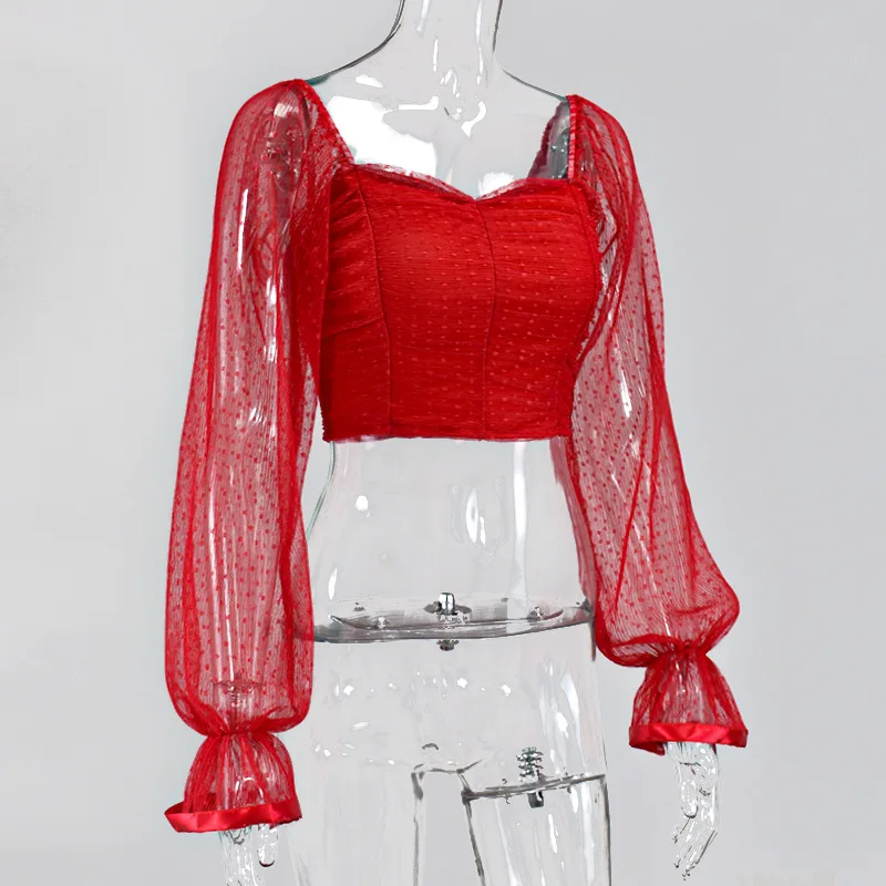 17399104067_1346276496