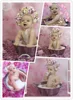 Laeacco Pink Spring Blossom Flowers Petal Branch Love Party Newborn Baby Portrait Photo Backgrounds Photo Backdrops Photo Studio ► Photo 2/6