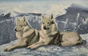 

Wolves in the snow (55x35) in a single frame