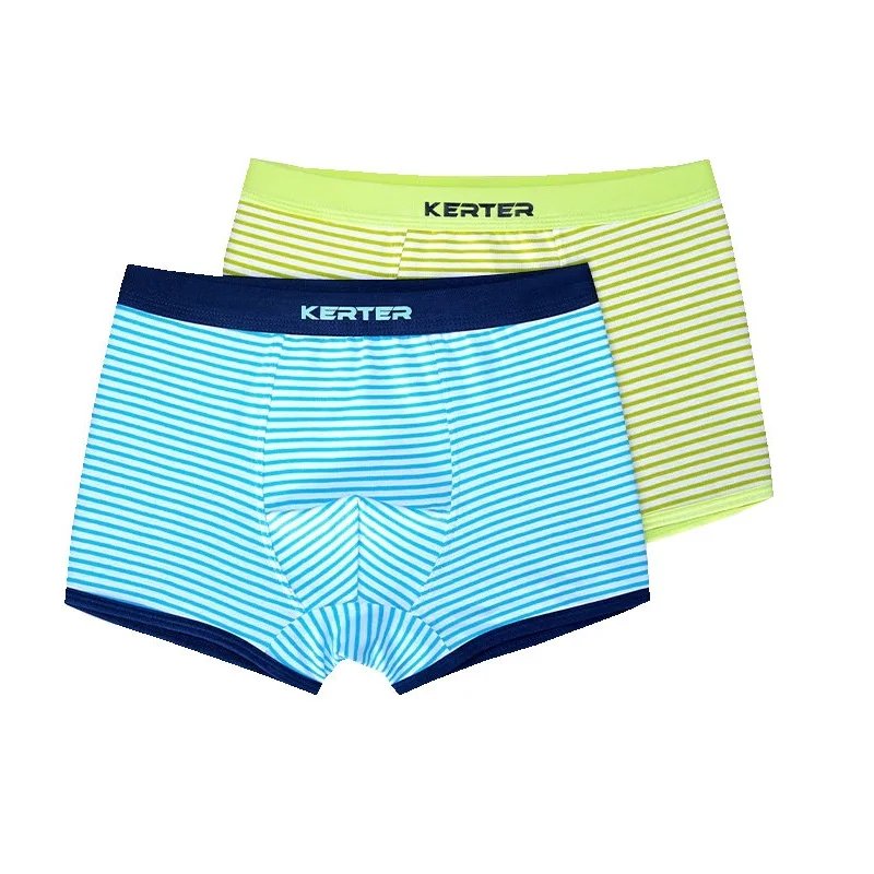 

3-16 Years 2PCs Per Pack Boys Panties Cotton Student Underpant Teen Boxer Shorts Underwear Puberty Boys Teenages Briefs KF322