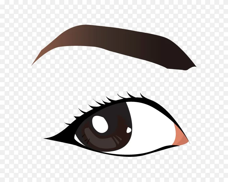 眉毛剪贴画眉毛