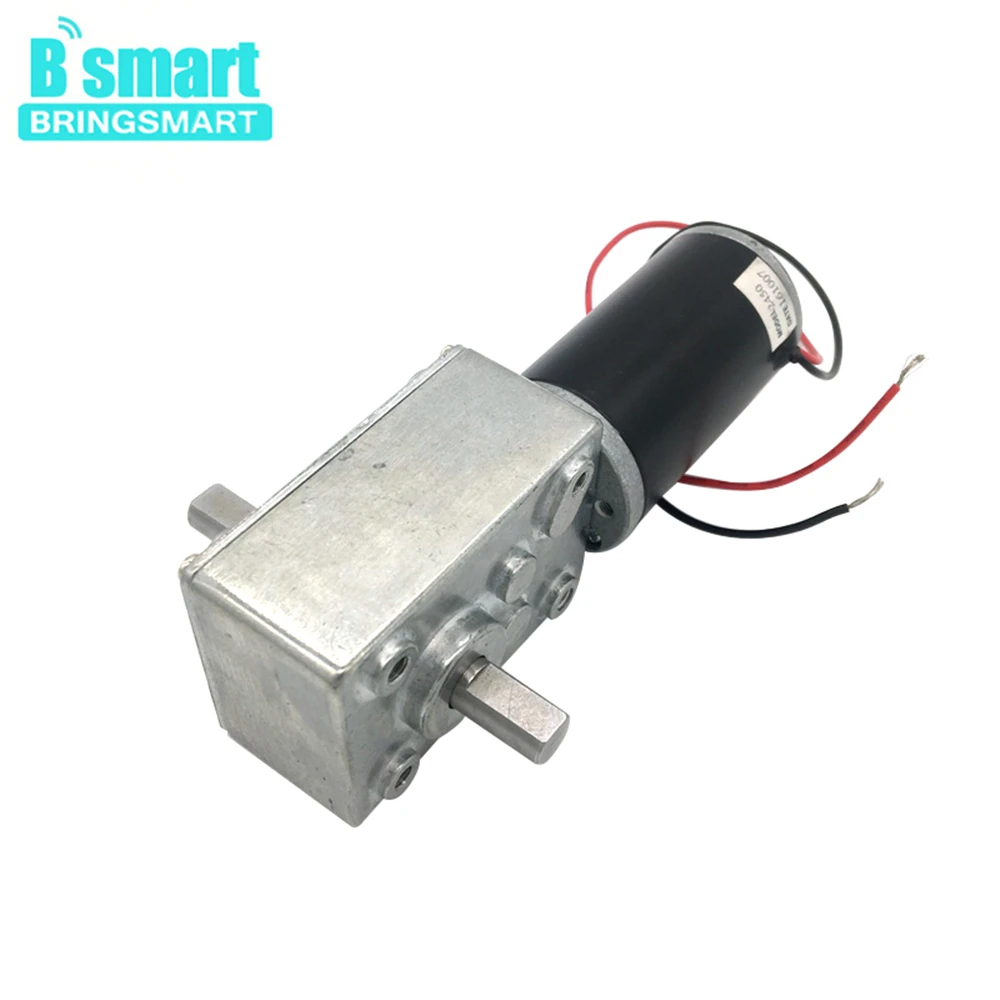 Bringsmart червячный двигатель 12 в 24 В двойной вал 5 470 об/мин A58SW31ZYS самоблокирующийся