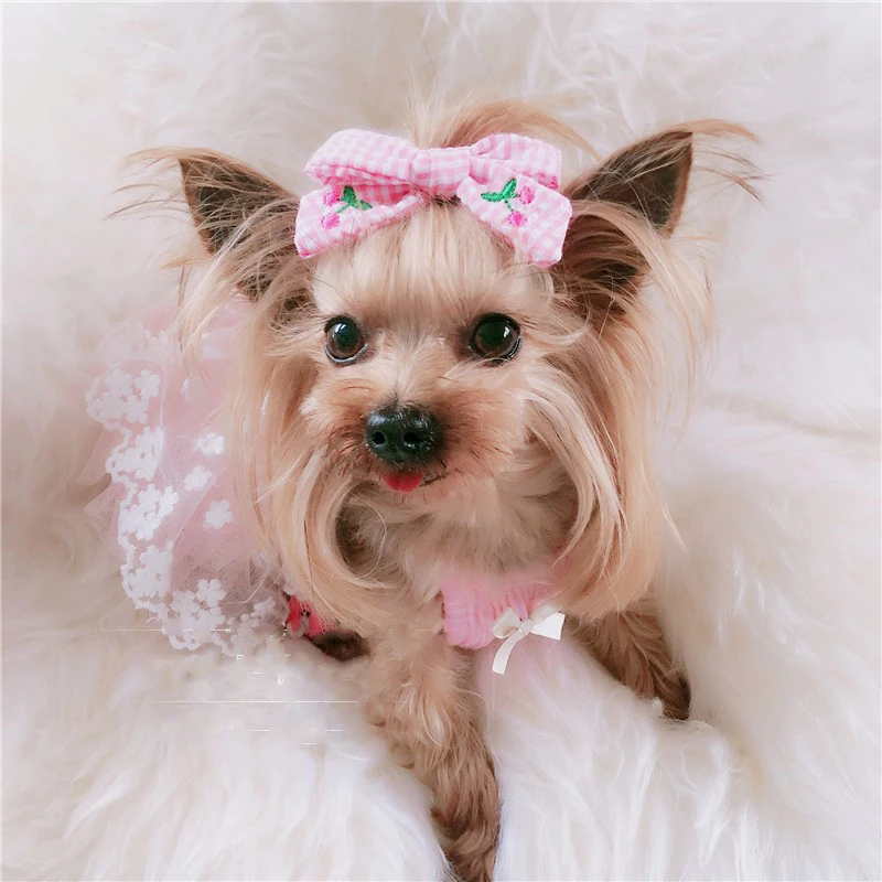 O1CN01Mh0qsy1wkyQiMD7CS_!!735876347