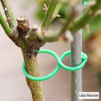 

20/50/100/200 Pieces Of Plant Support Garden Clip Grid For Vertical Vegetable Plant Support Tool For Grape Vegetable Planting