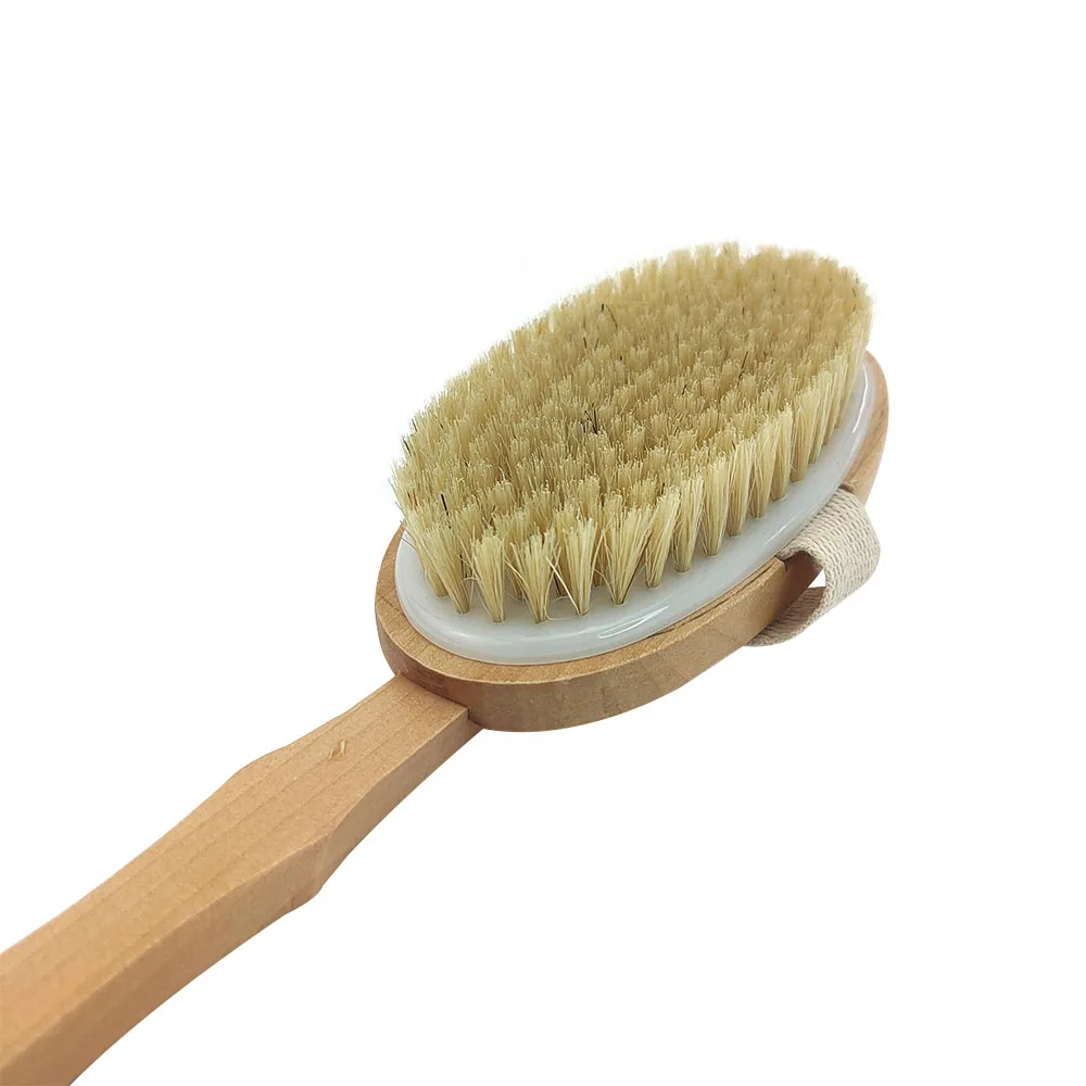 bath brush (5)