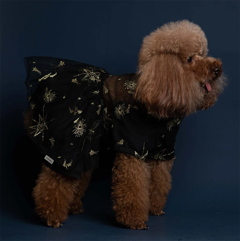 dog dress mote 2